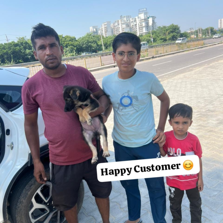 Pet 4 Dog  Happy Clients (11)